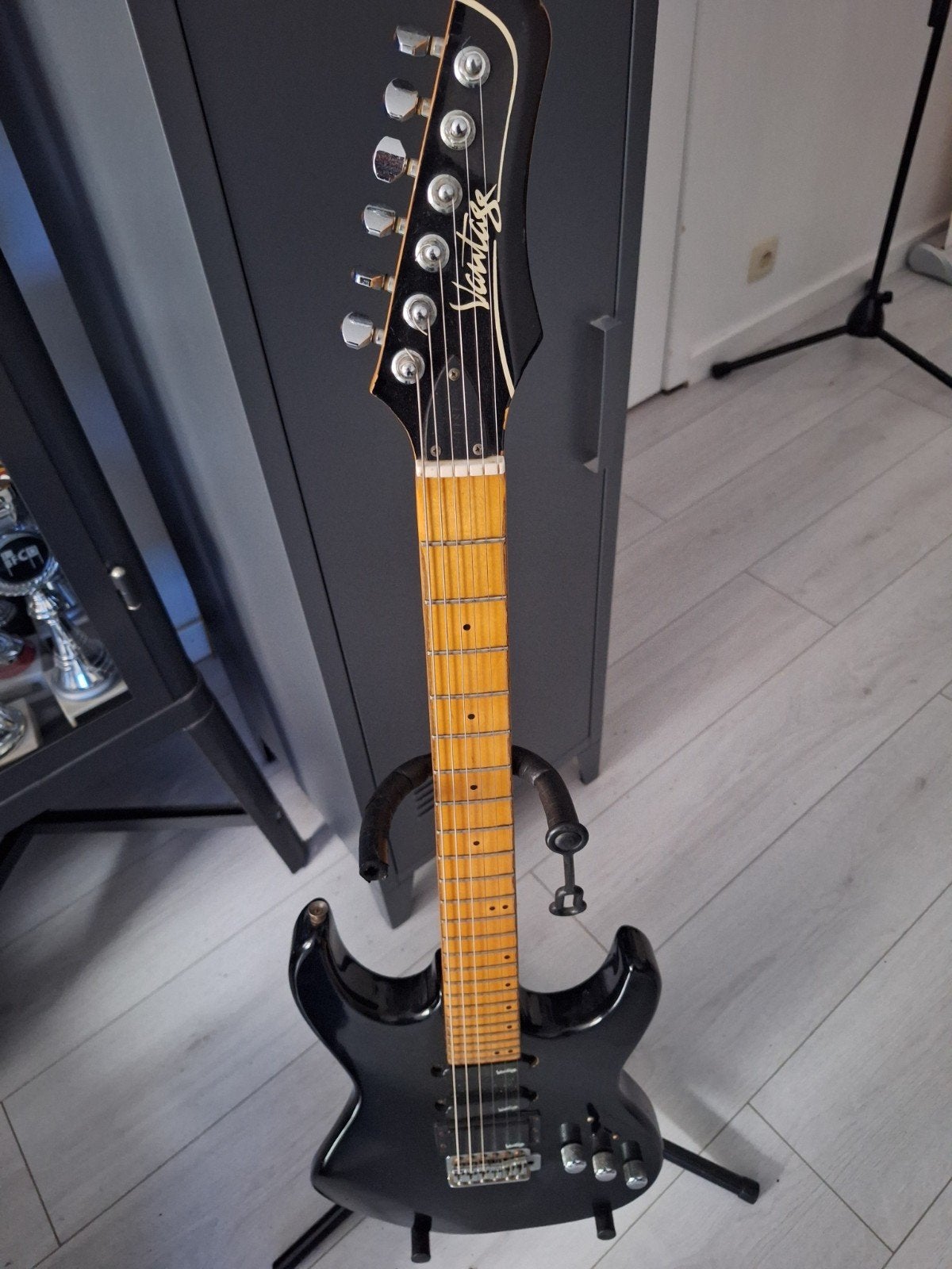 Elektrische gitaar Vantage, Enlèvement