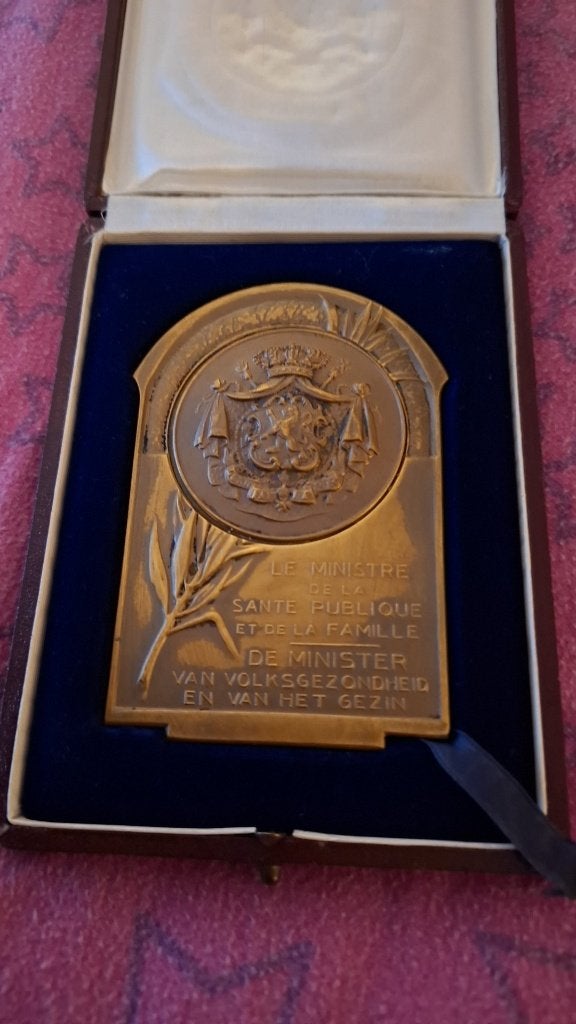 Bronzen medaille van minister van volksgezondheid, Antiek en Kunst, Ophalen of Verzenden, Brons