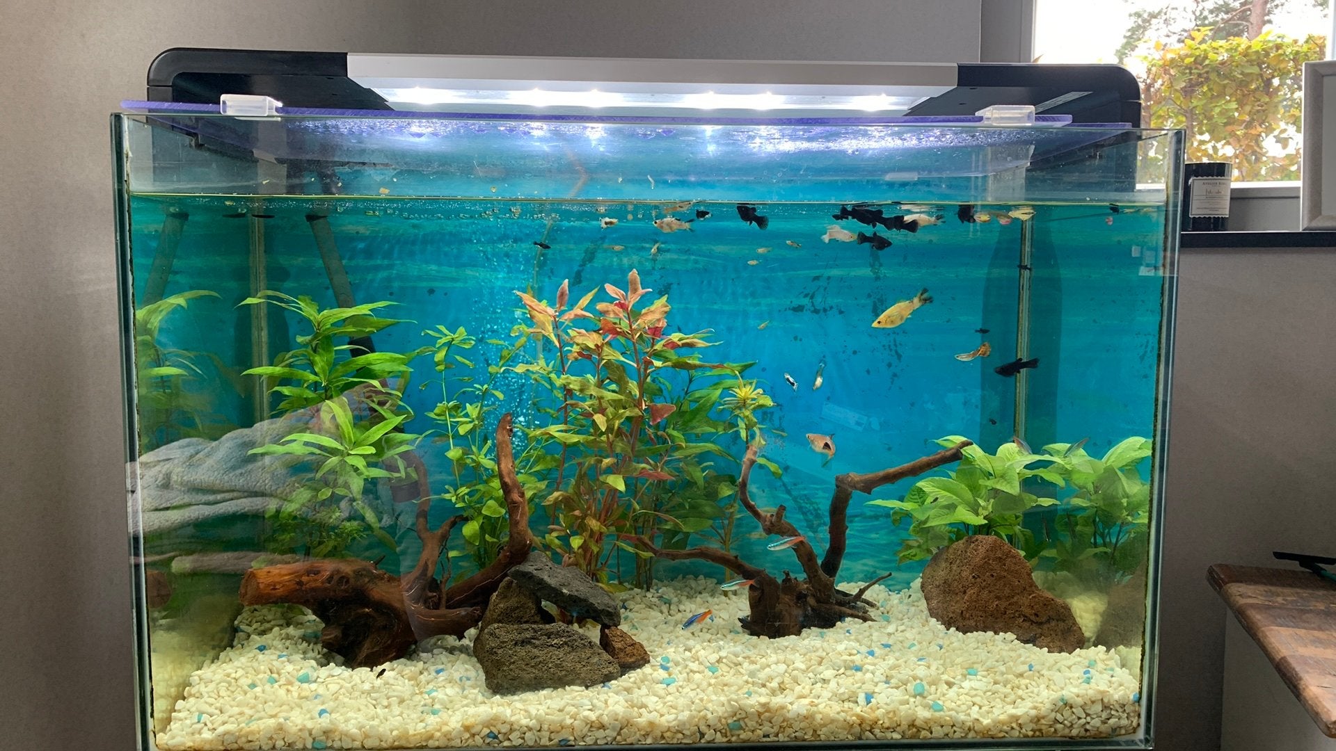 Aquarium Superfish home 110, Enlèvement, Chauffage, Comme neuf, Superfish