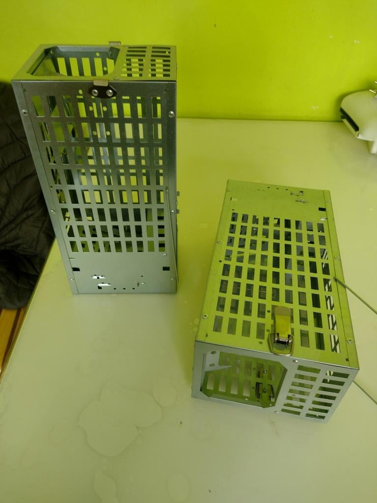 Piège à rats et souris, Enlèvement