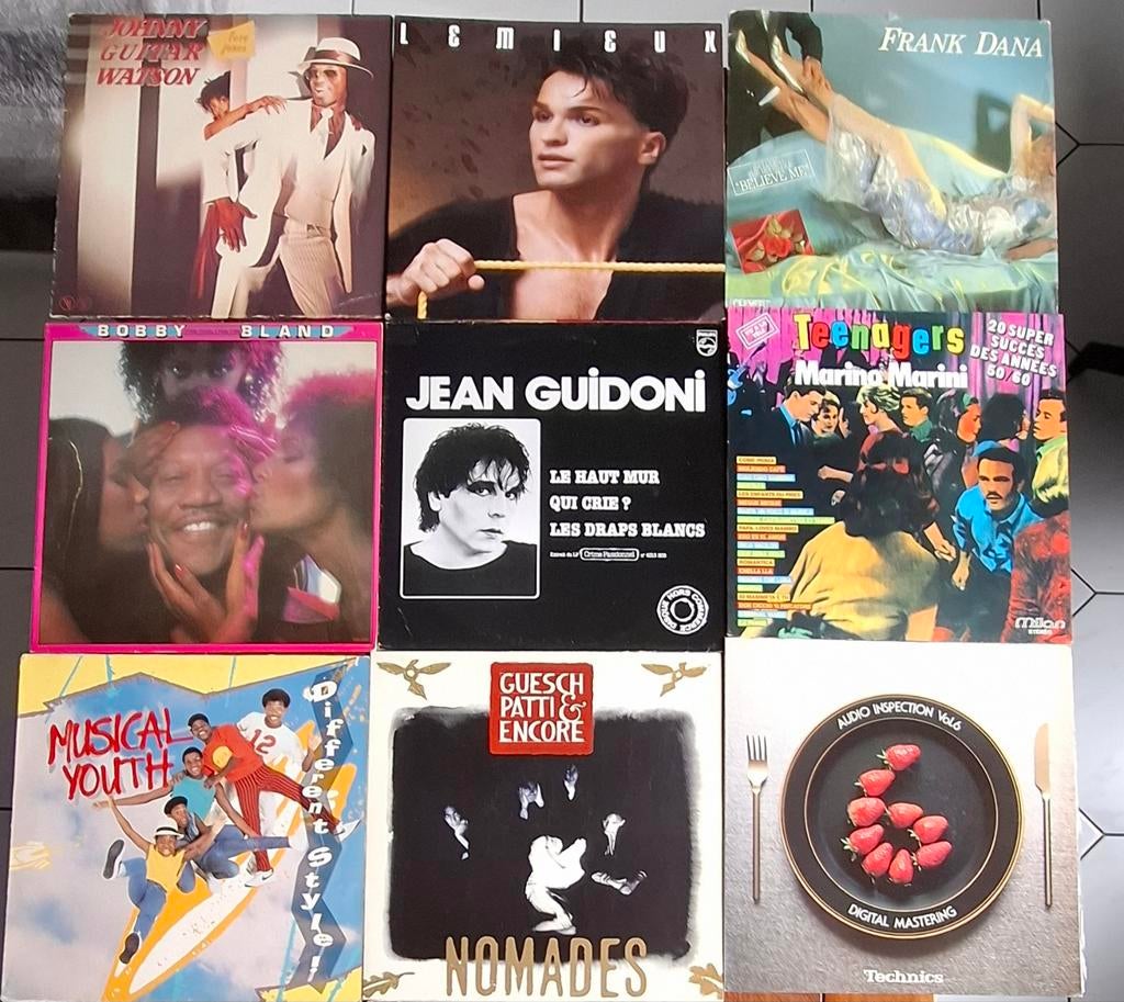 Lot 100 Albums vinyls, Ophalen
