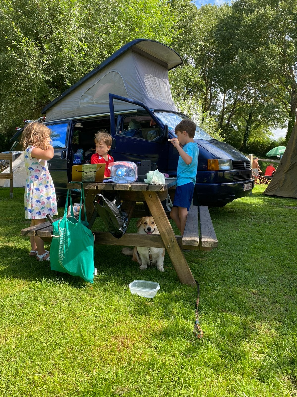 Oldtimer Volkswagen T4 camper uit 1991 met 291000 km, Caravans en Kamperen, Volkswagen, Handgeschakeld, Diesel