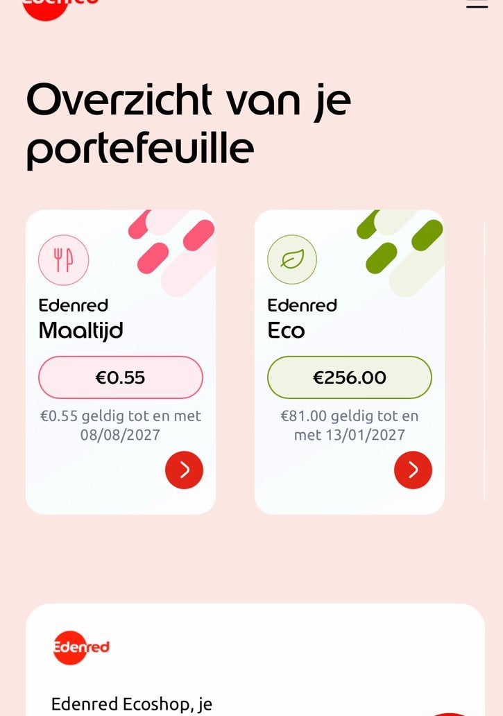 Ecocheqeus 256€ mag weg voor 200€, Tickets en Kaartjes