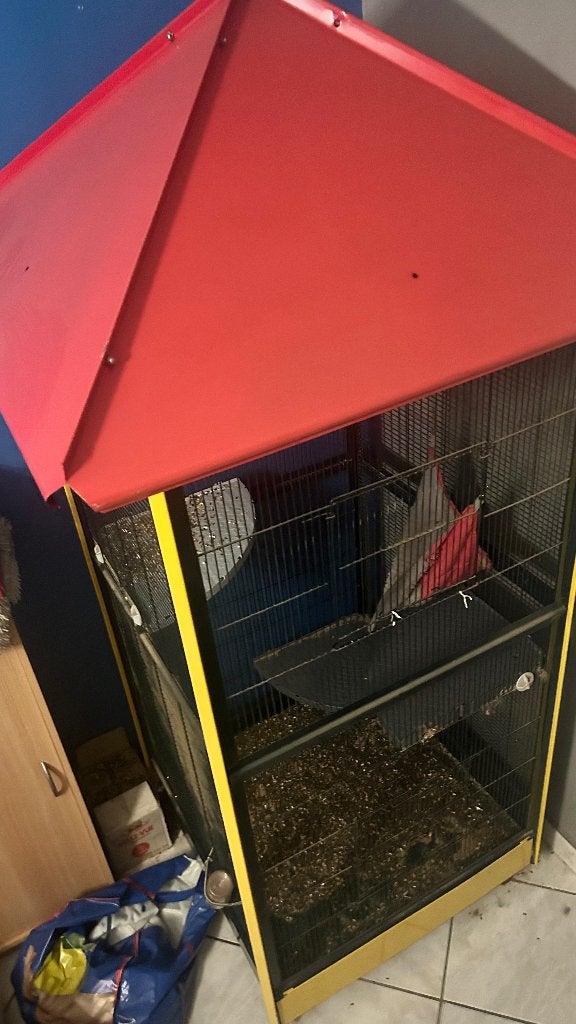 Cage animal pour rongeur ou oiseau, Animaux & Accessoires, Enlèvement, Utilisé