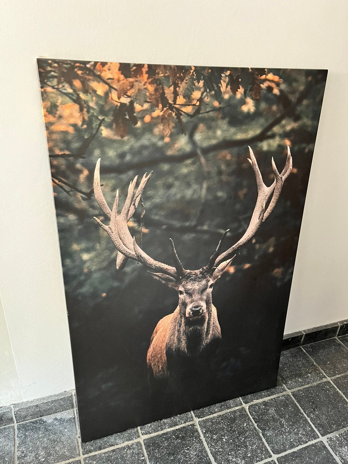 Kader met afbeelding hert, Ophalen, Gebruikt, Print