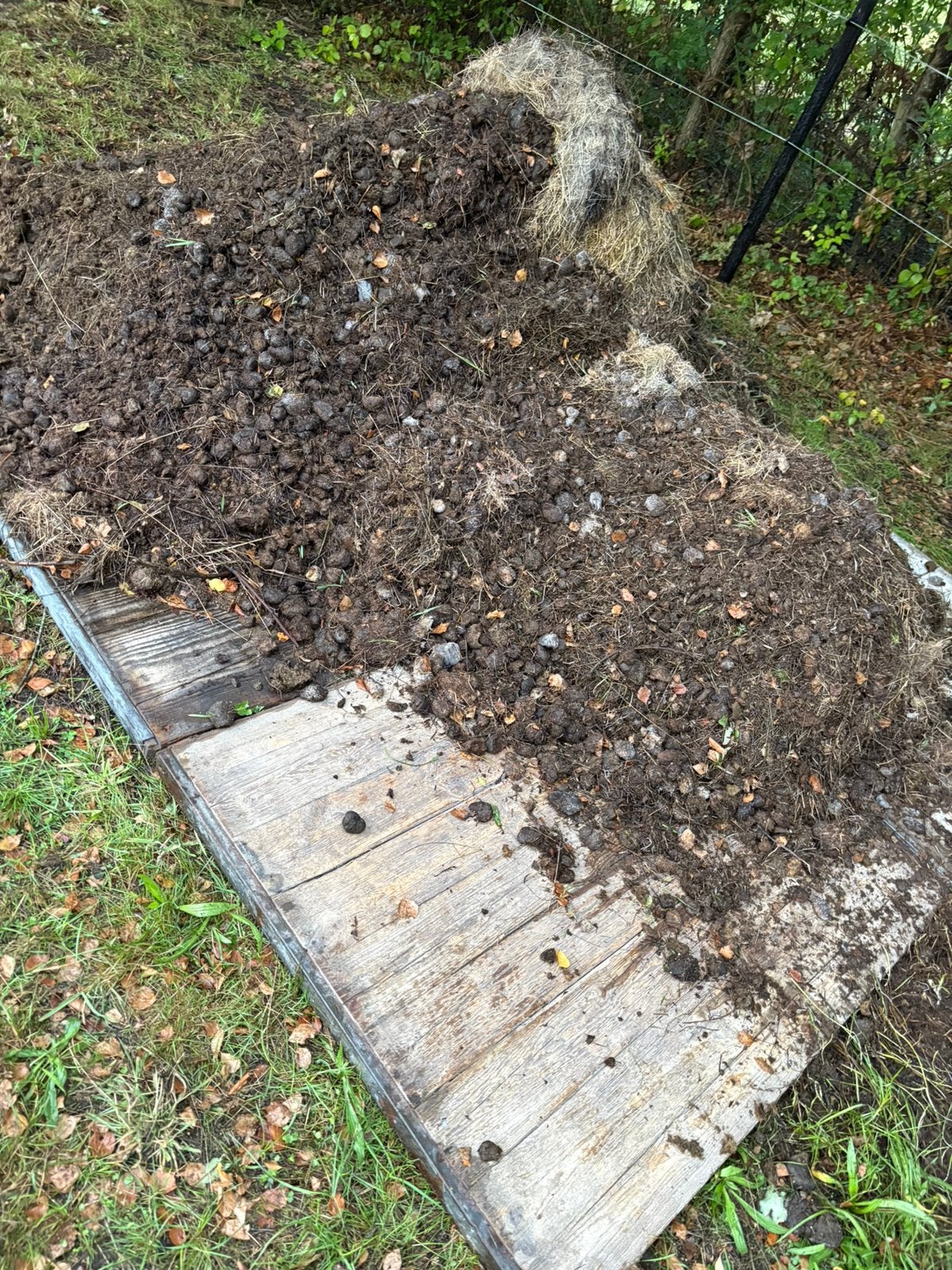 Gratis paardenmest, Jardin & Terrasse, Terre & Fumier, Enlèvement