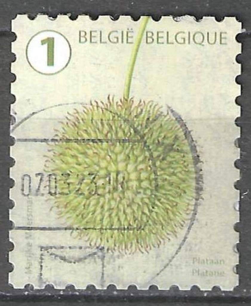 Belgie 2021 - Yvert 5014 /OBP 5028 - Boomvruchten (ST), Verzenden, Gestempeld, Gestempeld