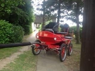 Calèche, Animaux & Accessoires, Voitures & Carrosses, Comme neuf, Calèche marathon, Cheval ou Poney
