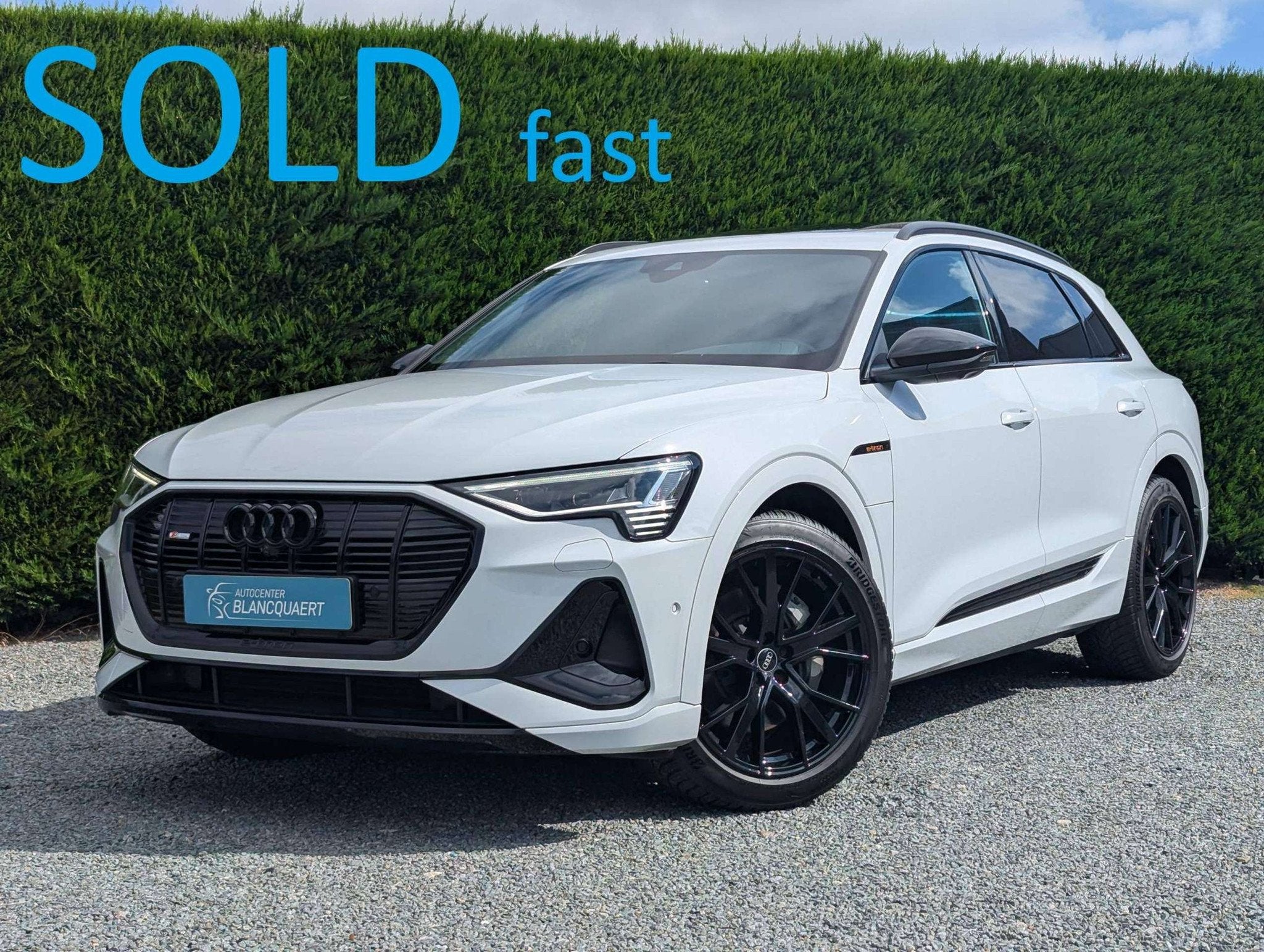 Audi Q8 e-tron !verkocht!(Q8) e-Tron - 2x s-line - opendak -, Autos : Divers, Automatique, Audi, Blanc, Électrique