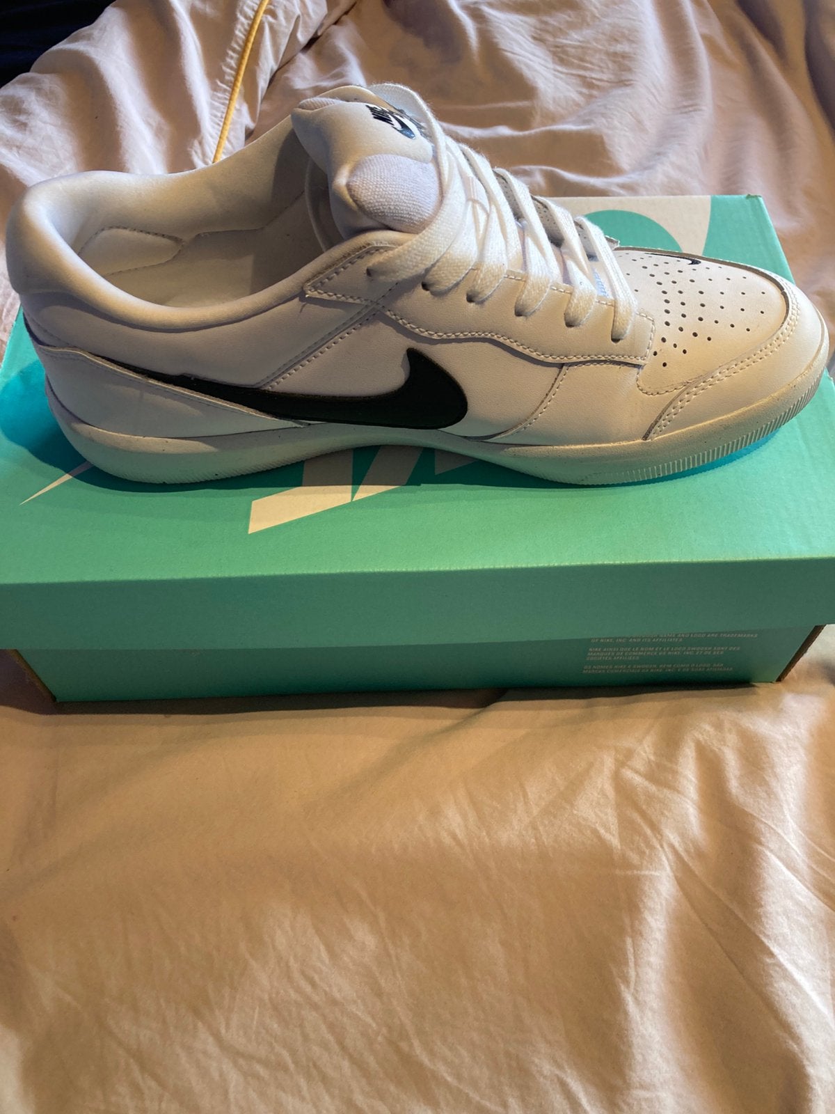 Nike sb schoenen, Sports & Fitness, Enlèvement, Comme neuf, Nike