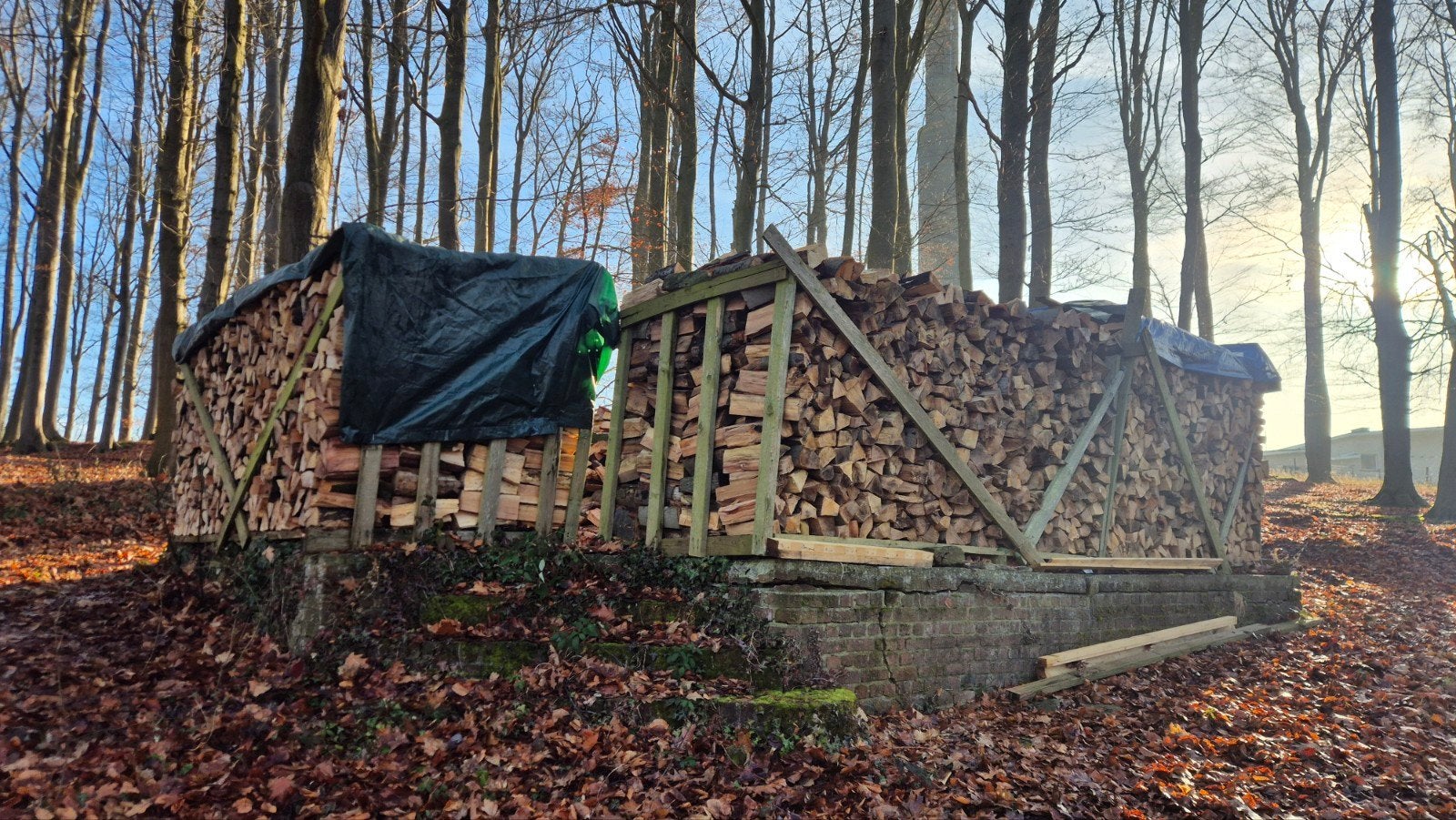 Brandhout (beuk), Ophalen, Beukenhout, Blokken