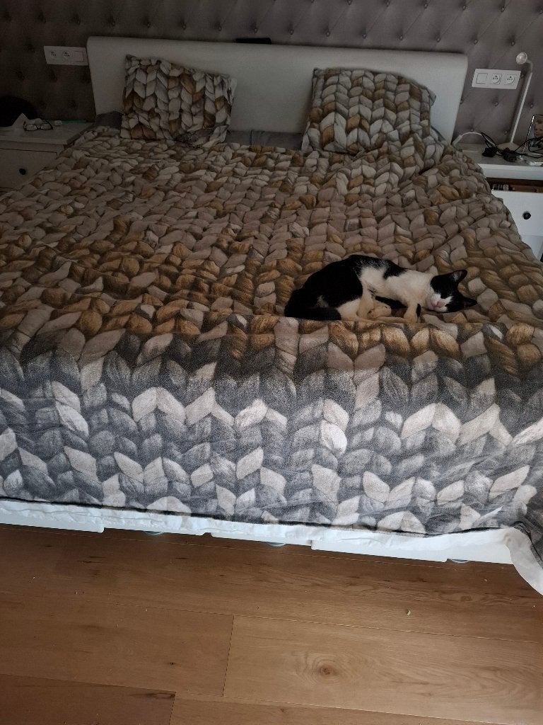 gratis boxspring 180 x 200cm, Enlèvement, Utilisé, 180 cm, 200 cm