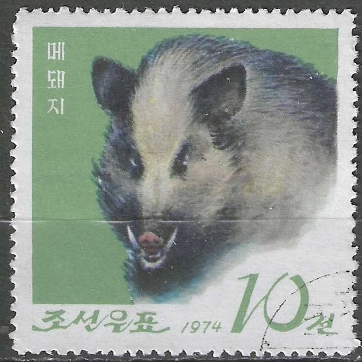 Noord-Korea 1974 - Yvert 1212 - Everzwijn (ST), Postzegels en Munten, Verzenden, Gestempeld