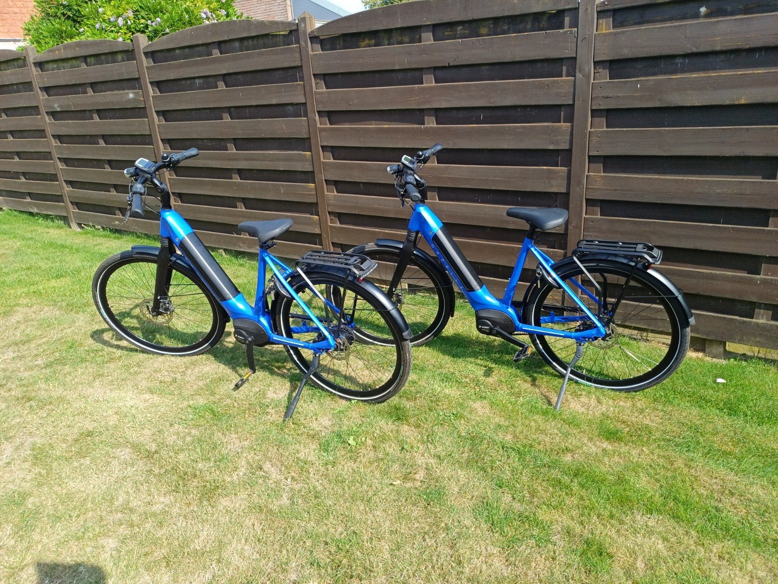 E bike gazelle ultimate c8 + intube 500watt belt hmb bosch, Ophalen, Gazelle