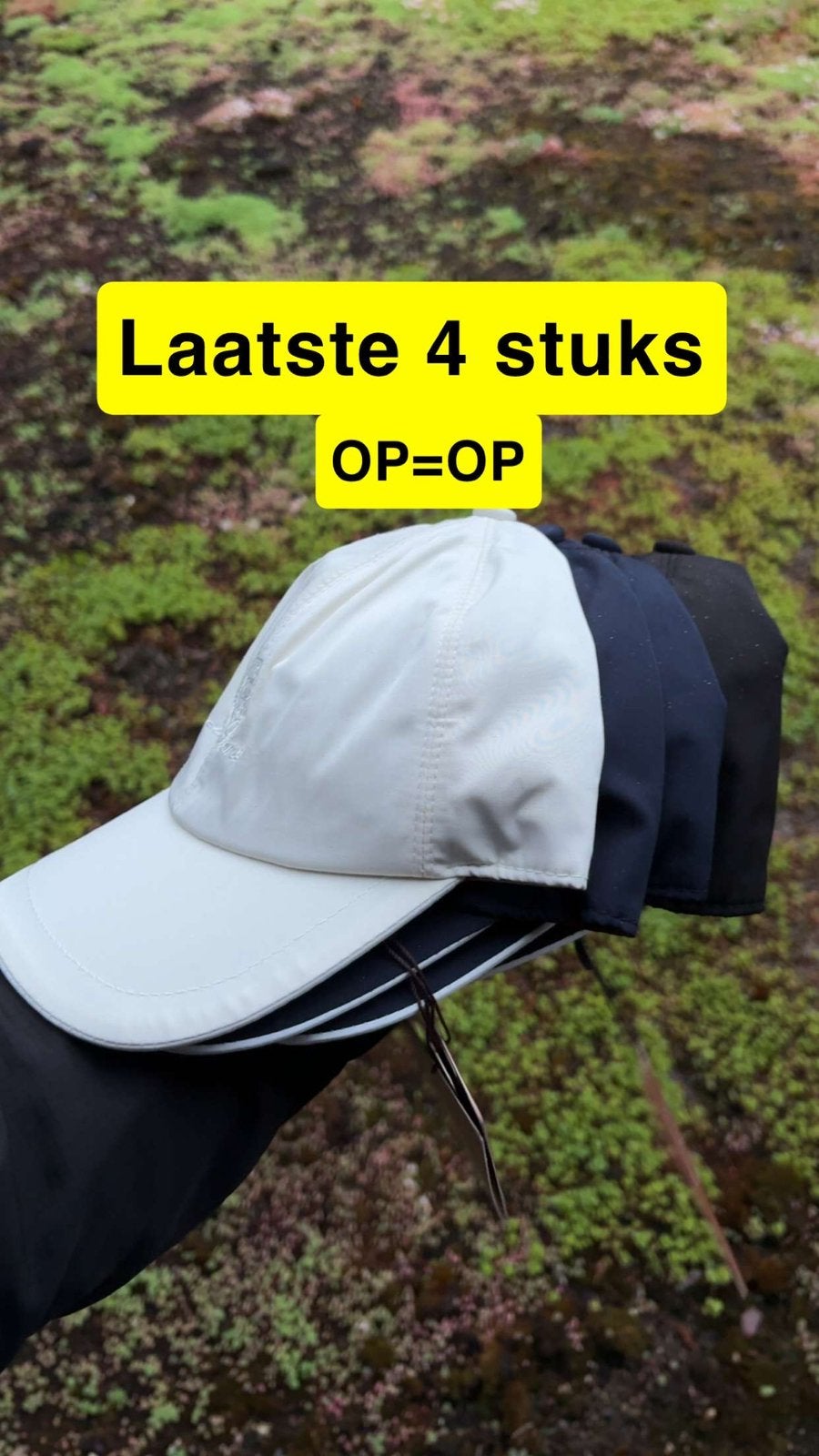 Loro piana, Ophalen of Verzenden, Nieuw
