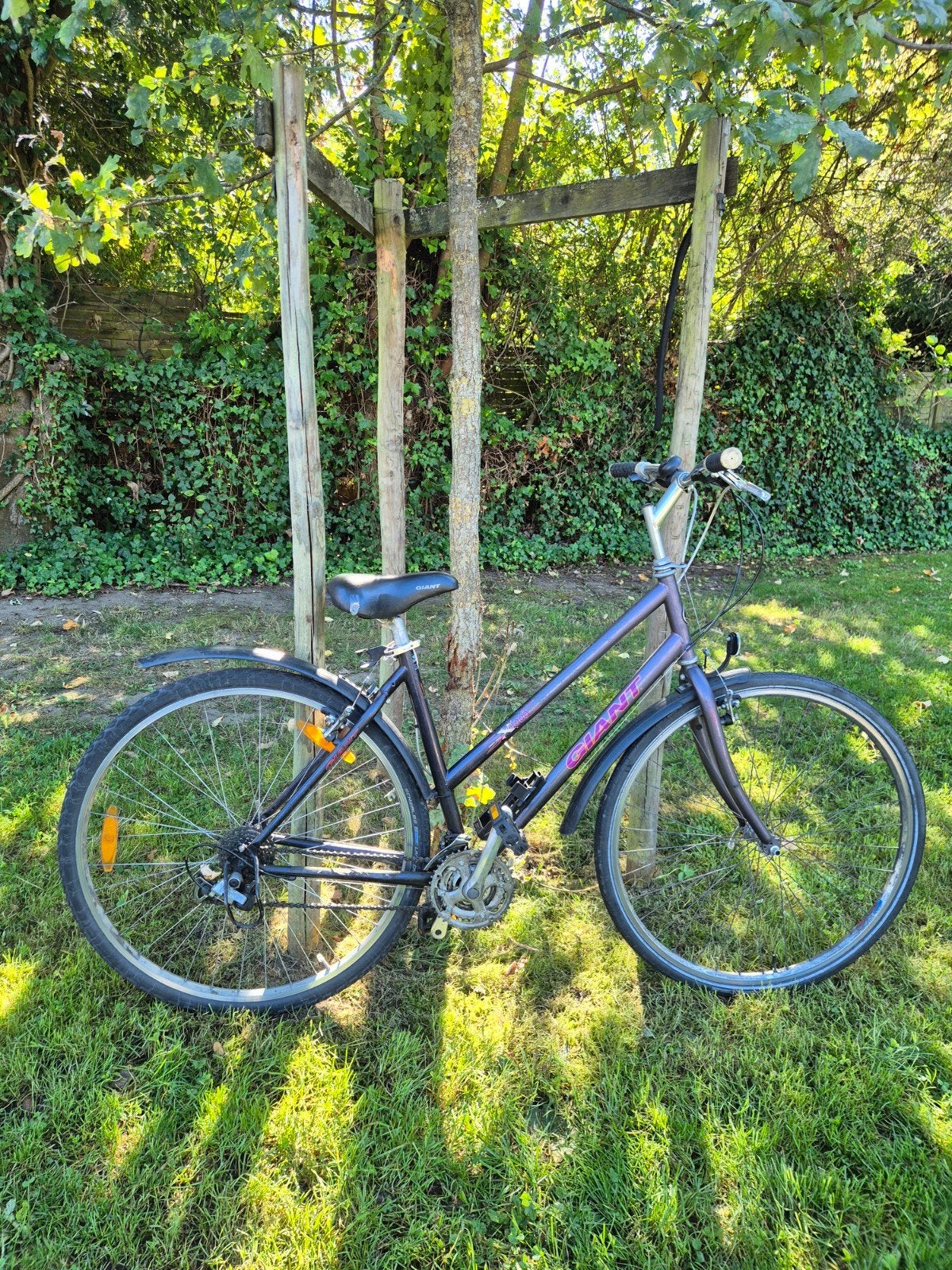 Prachtige stadsfiets Giant Custom 1000 — maat M, Fietsen en Brommers, Ophalen, Giant, Versnellingen