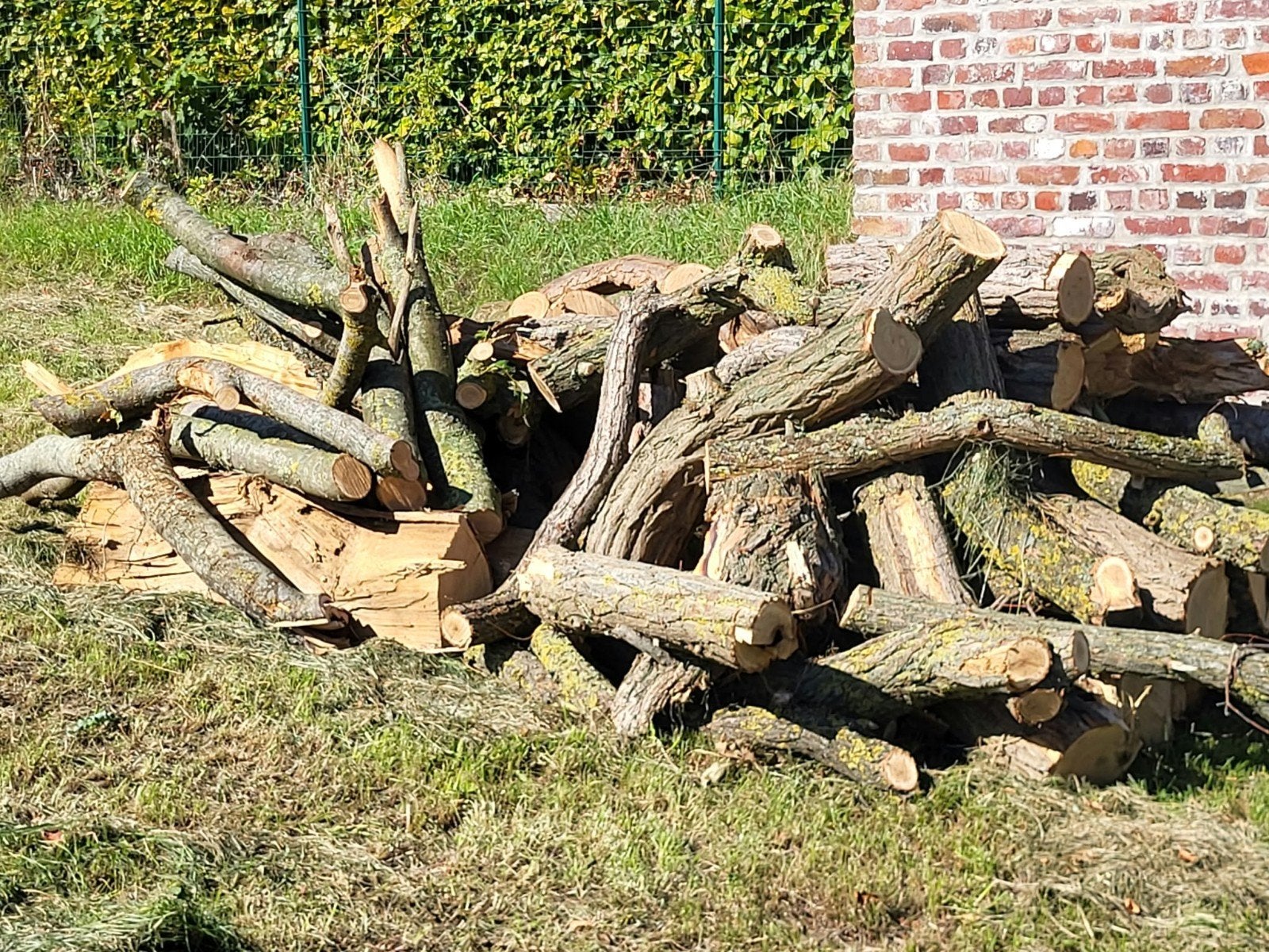 brandhout te koop, Tuin en Terras, Minder dan 3 m³, Ophalen, Overige houtsoorten, Blokken