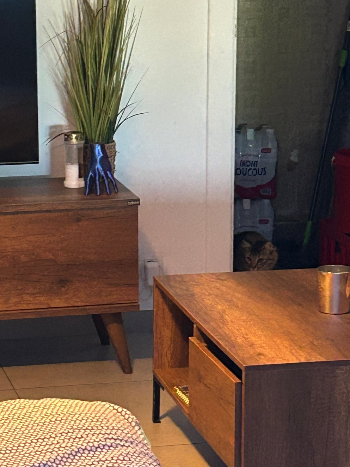Vide maison, Antiquités & Art, Enlèvement