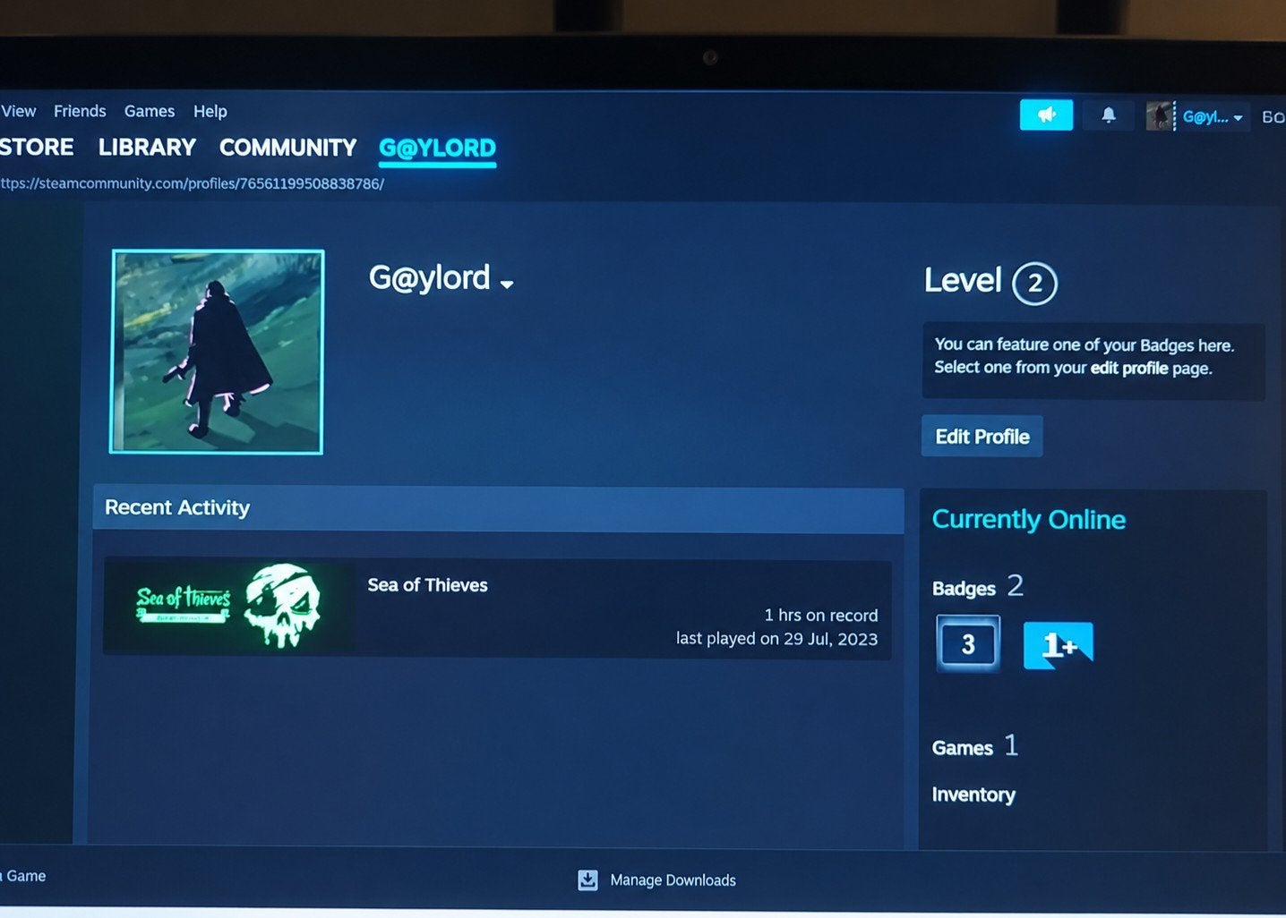 steam account met Sea of thieves, Consoles de jeu & Jeux vidéo, Online, À partir de 12 ans, Aventure et Action, Comme neuf