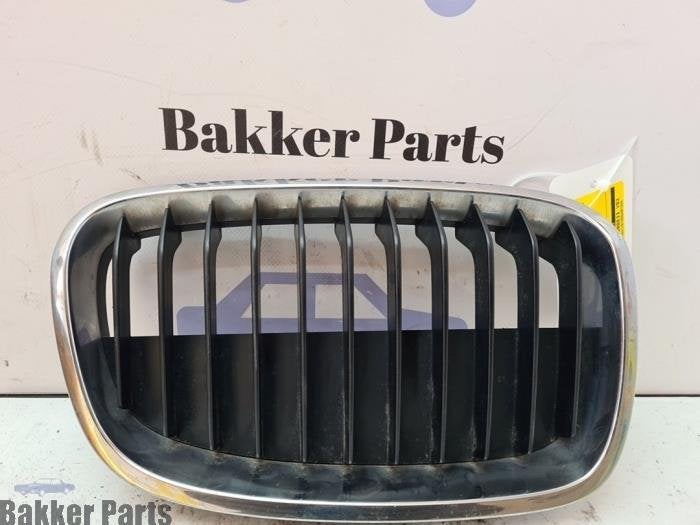 Calandre d'un BMW 1-Serie, -, -, 3 mois de garantie, Utilisé