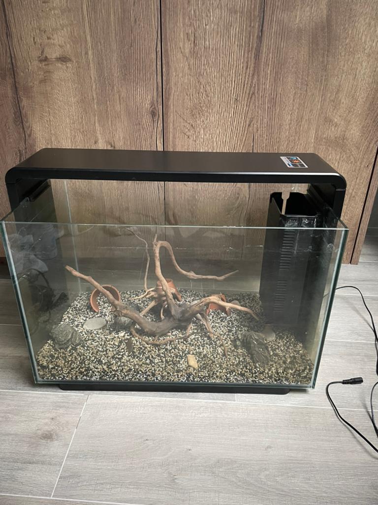 Aquarium: superfish home 60 + benodigdheden, Enlèvement, Comme neuf, Filter, Superfish
