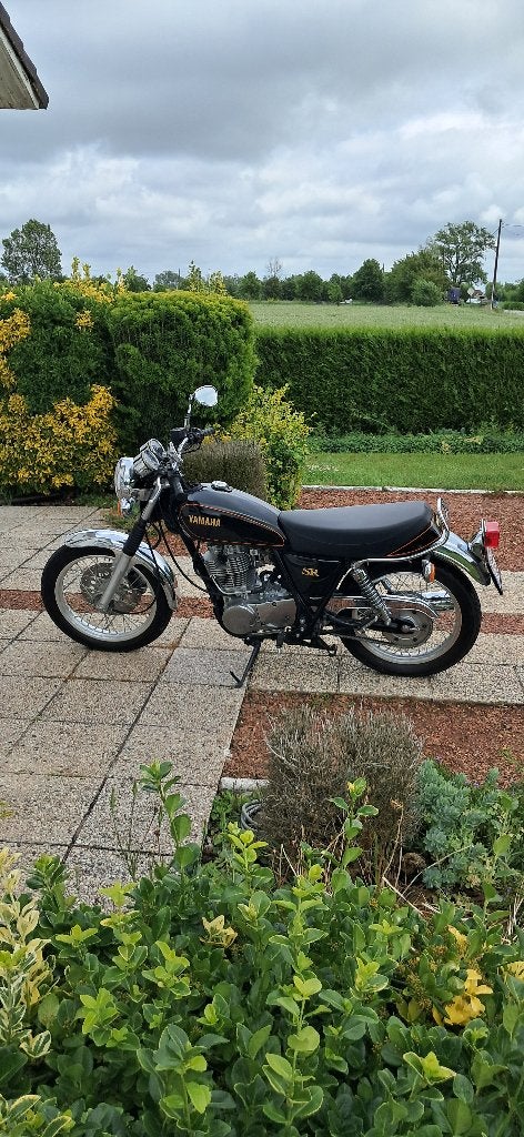 Yamaha SR 400, Motos, Occasion, Particulier, 400 cm³, Autre