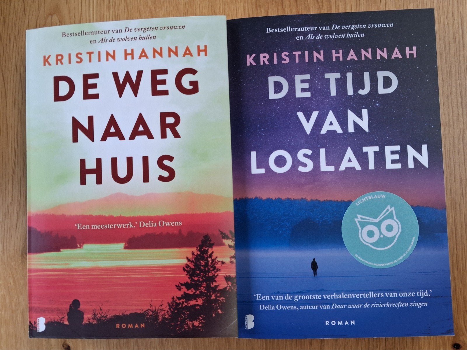 Boeken van Kristin Hannah, Boeken, Ophalen of Verzenden