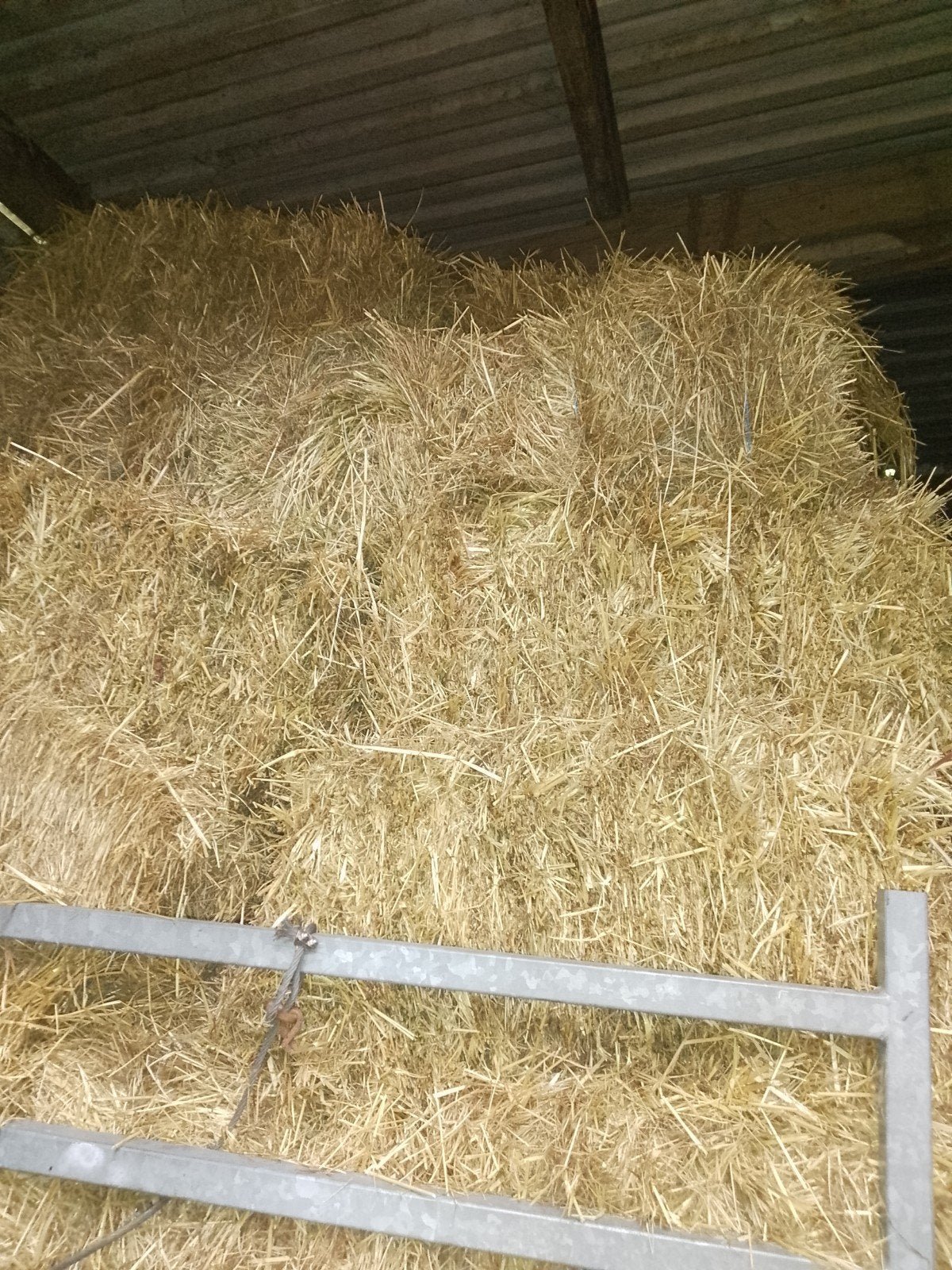 Hooi, Dieren en Toebehoren, Dierenvoeding, Ophalen