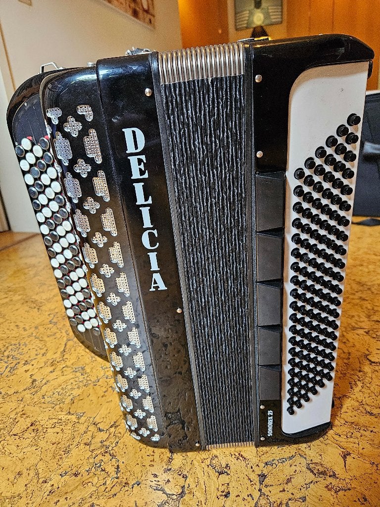 Accordeon Delicia Do1, Musique & Instruments, Avec bretelles, Enlèvement, Utilisé, 120 basses