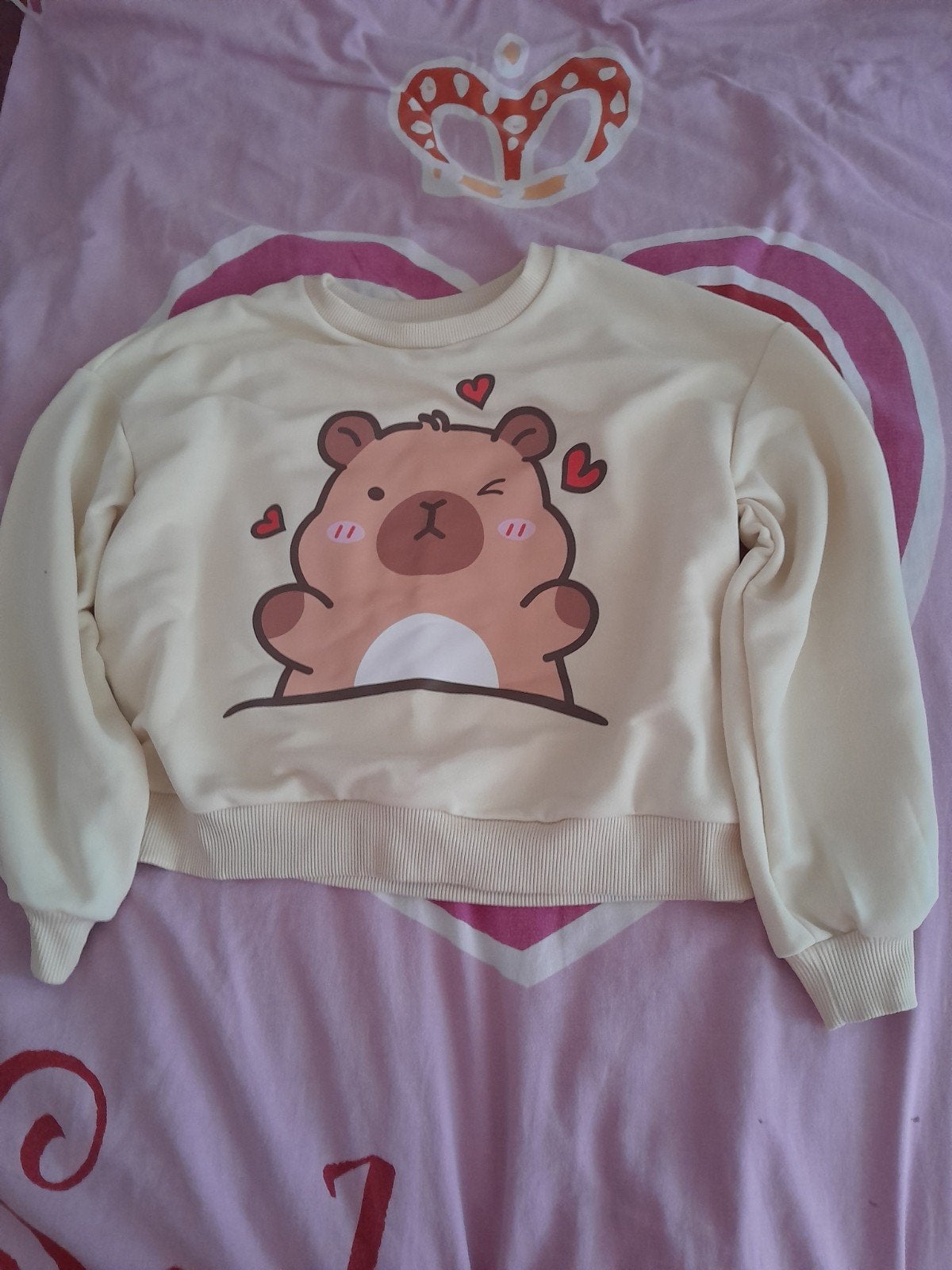un pull kawai, Pull ou Veste, Enlèvement, Fille, Hema et Shein