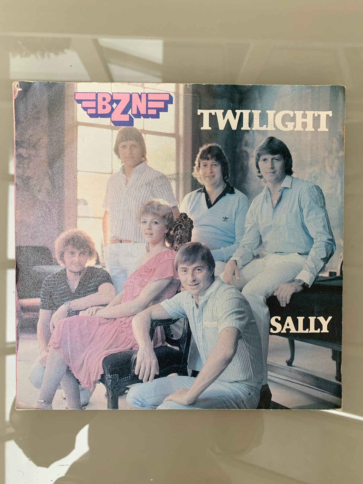single vinyl - twilight sally, Ophalen