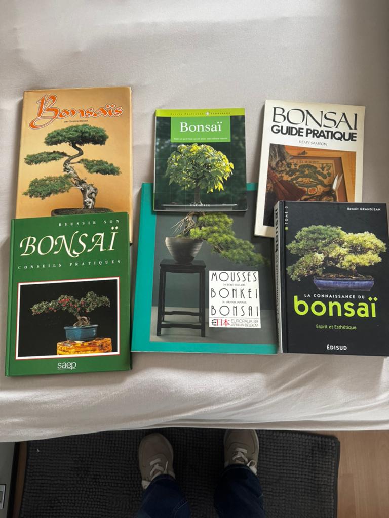 Livres bonsaïs, Enlèvement, Comme neuf