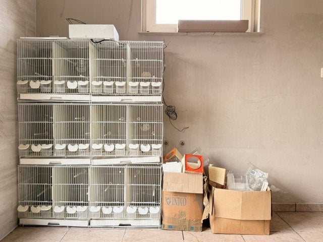 broedkooien + toebehoren + verlichting, Enlèvement, Utilisé, Synthétique, Cage d'élevage