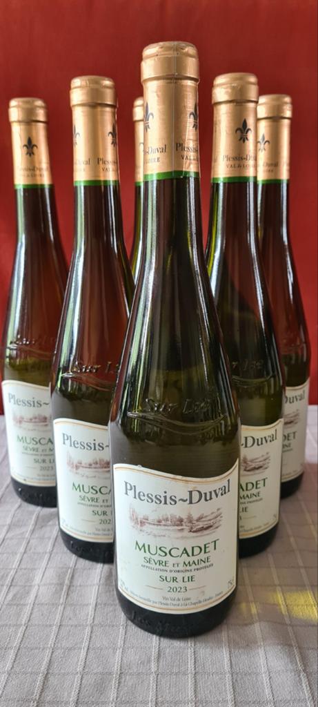 Vin blanc - Plessis-Duval "Muscadet sur Lie" 2023, Enlèvement, Vin blanc