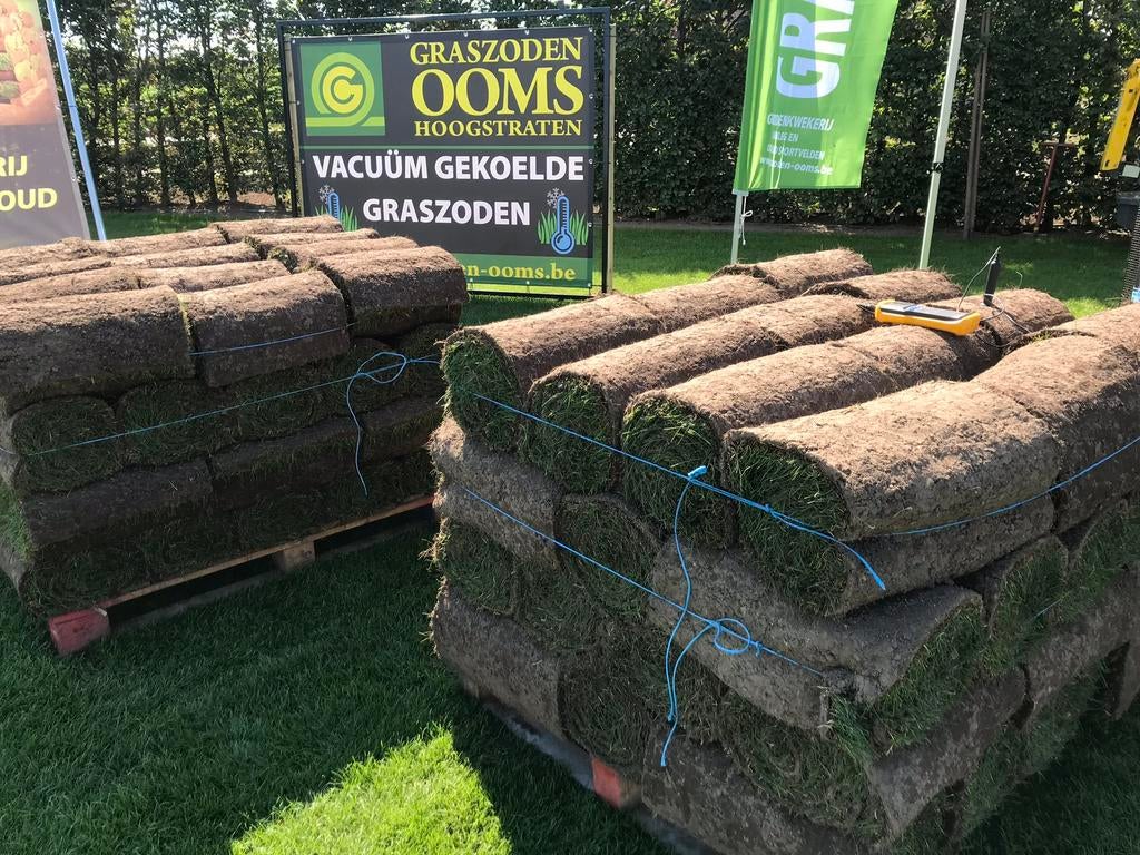 Grasmatten. Gazon op rol. Graszoden, Tuin en Terras, Ophalen, Nieuw, Gras