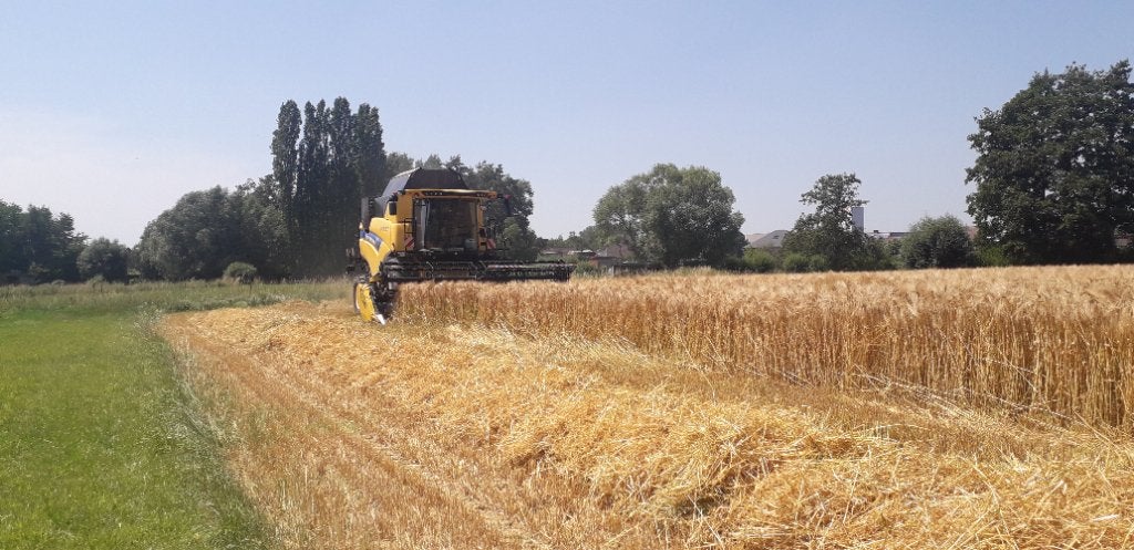 Stro af land, Enlèvement, Autres espèces