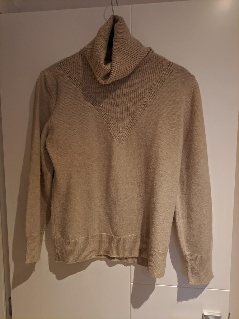 Te Koop : Damestrui met rolkraag, Kleding | Dames, Truien en Vesten, Bel & Bo, Ophalen of Verzenden, Gedragen, Maat 38/40 (M)