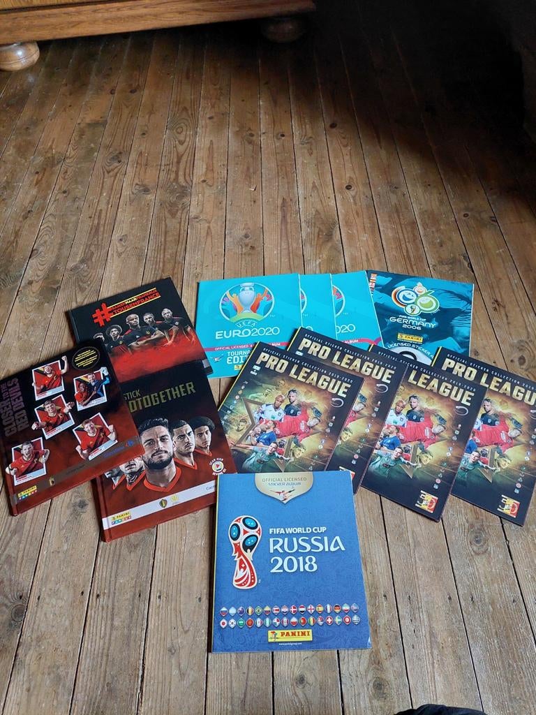 Lot 12 albums panini vides euro  world cup championnat, Collections, Envoi