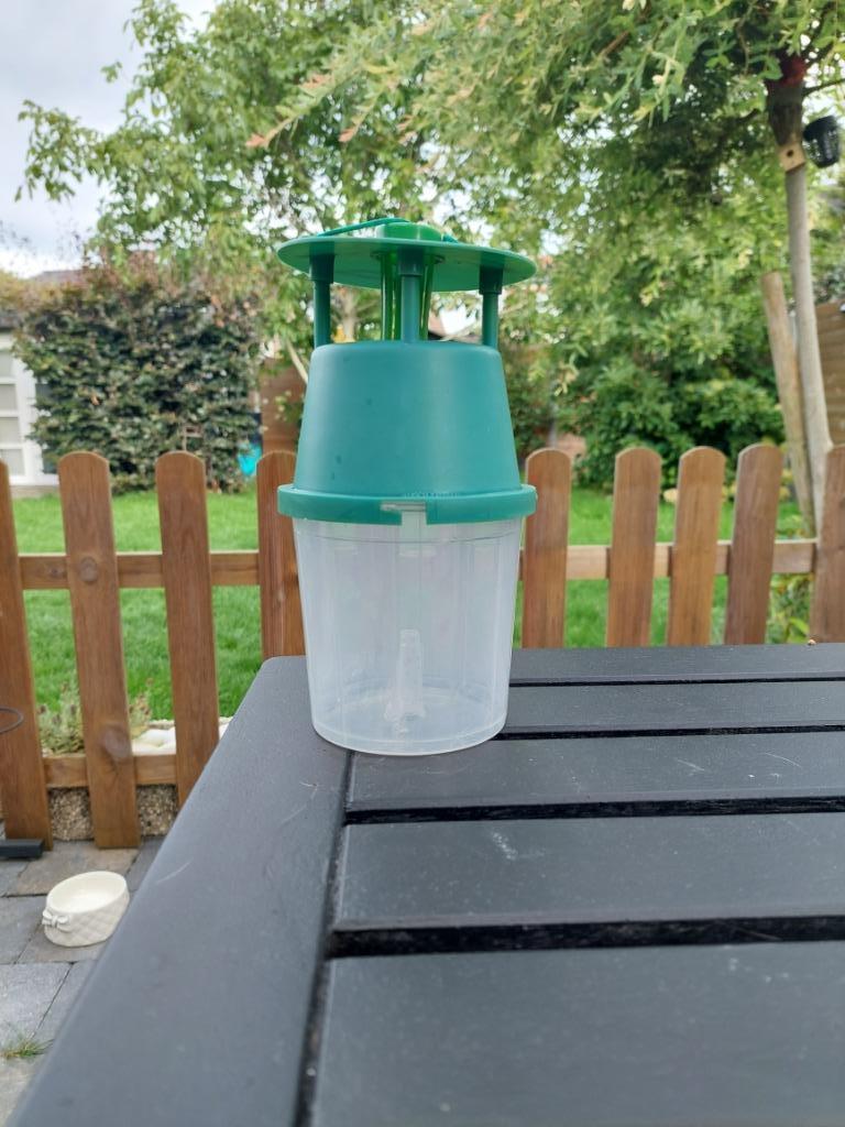 val voor buxusmot DCM cydalima feromoon, Tuin en Terras, Ophalen of Verzenden