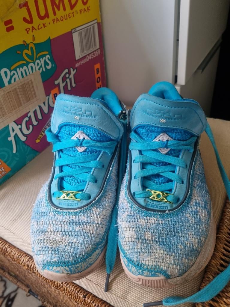 Nike lebron J pointure 42, Enlèvement ou Envoi, Nike