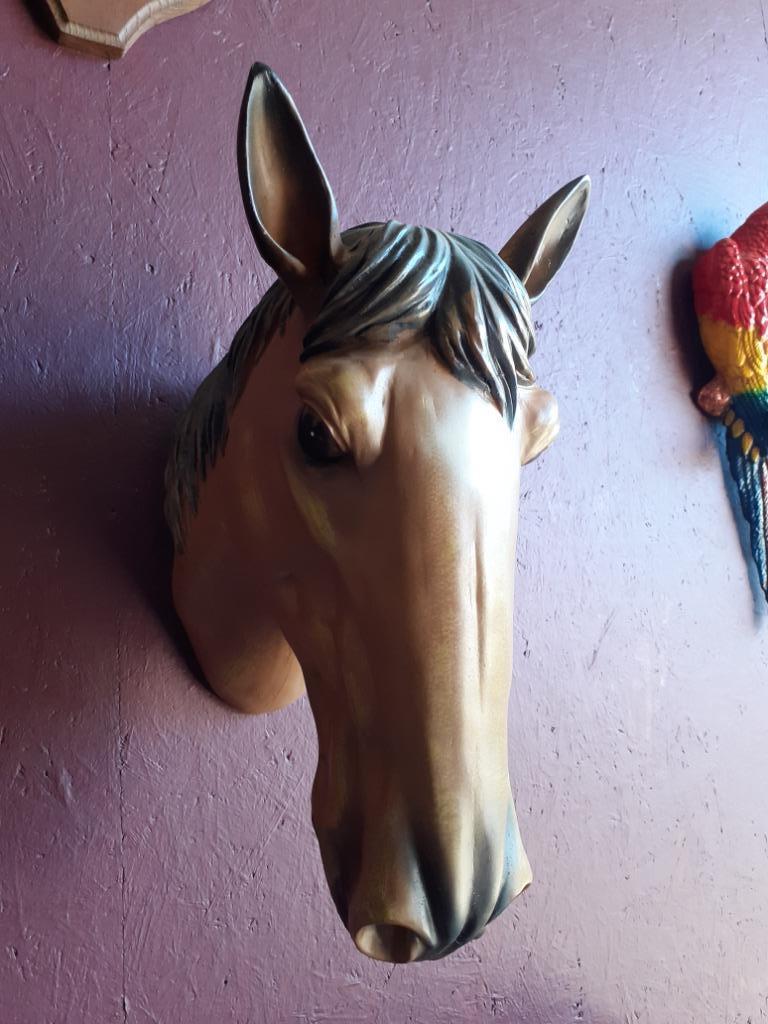 PRACHTIG PAARDENHOOFD VAN POLYRESIN OM OP TE HANGEN, Ophalen of Verzenden, Zo goed als nieuw