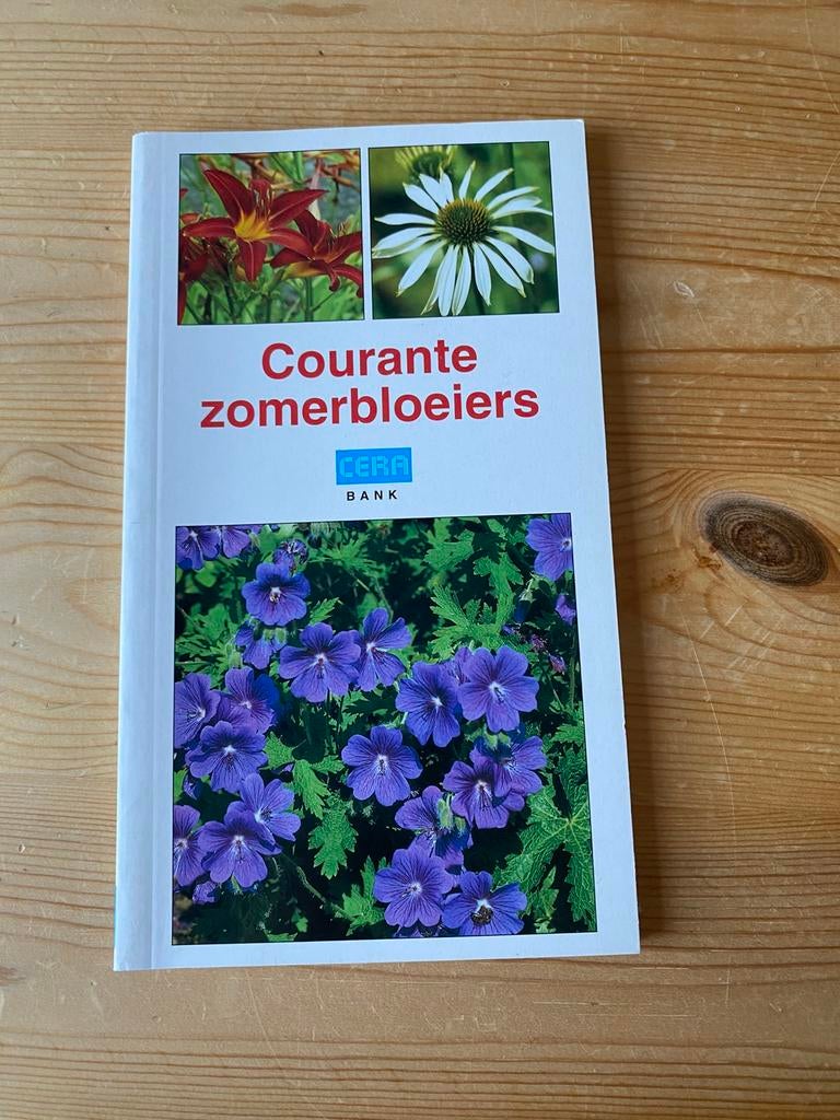 Courante lente-, zomer-, herfstbloeiers, cactussen., Ophalen, Cera Bank, Zo goed als nieuw, Tuinieren en Tuinplanten