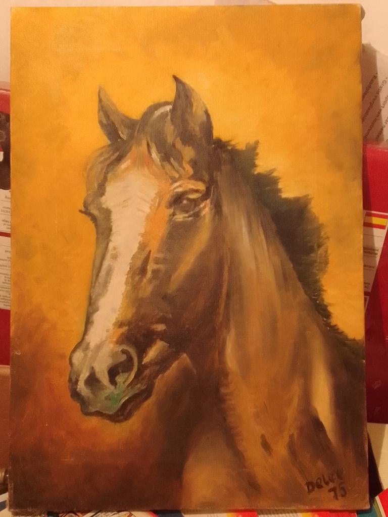 Tableau reprèsentant une tete de cheval., Antiquités & Art, Enlèvement