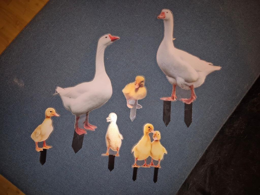 Tuinstaken acryl ganzen, Tuin en Terras, Verzenden