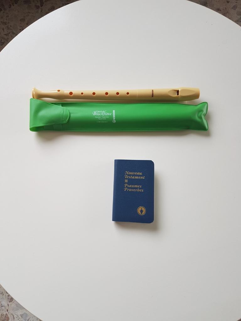 Flute à bec scolaire et nouveau testament, Musique & Instruments, Enlèvement ou Envoi, Comme neuf