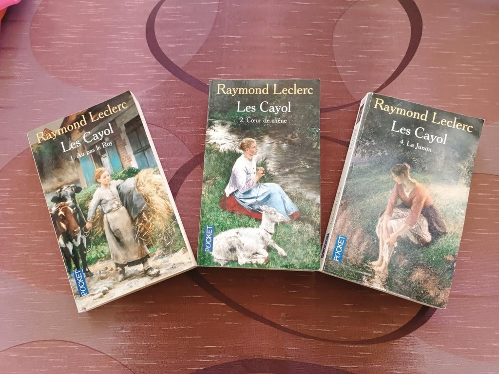 3 livres de poche en français,bon état, Ophalen, Zo goed als nieuw