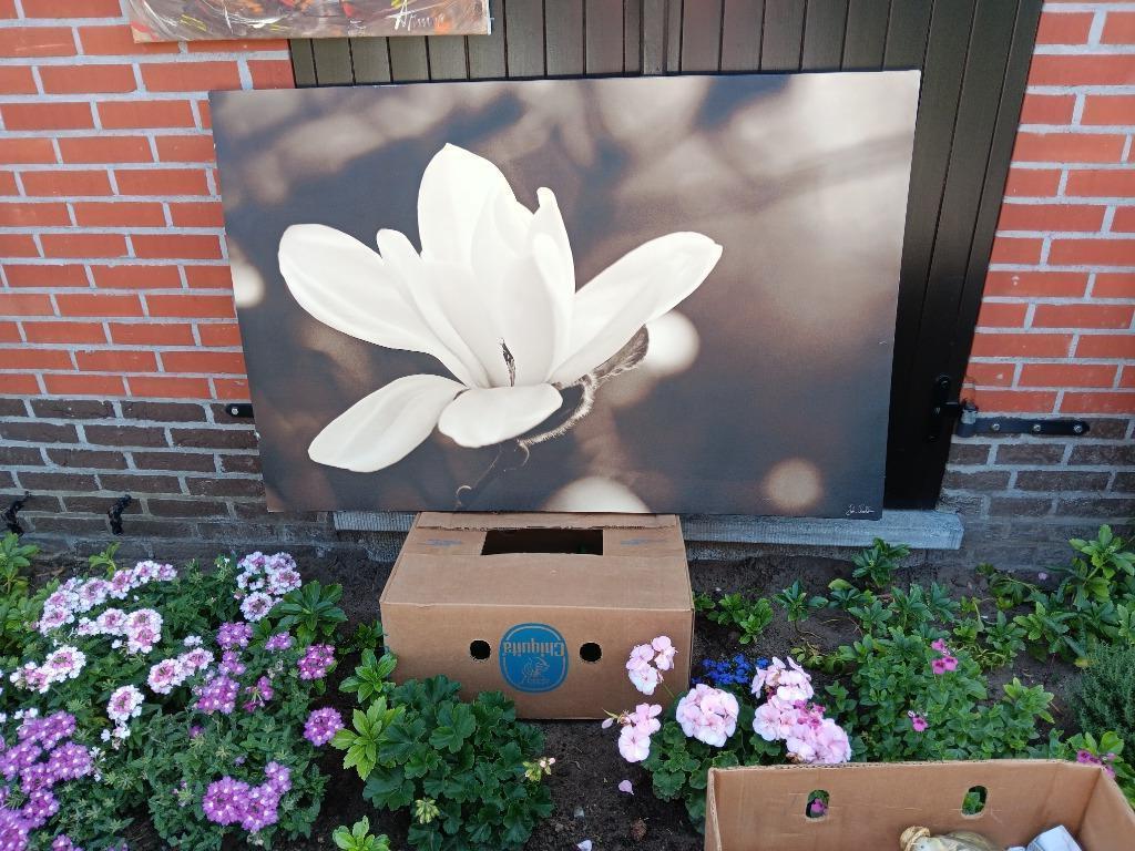 Schilderij met bloemen, Ophalen