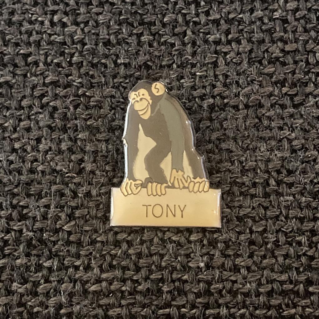 PIN - TONY - AAP - SINGE - MONKEY, Envoi, Utilisé, Animal et Nature, Insigne ou Pin's
