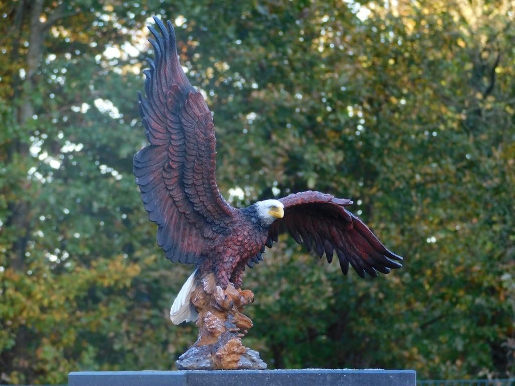 Bald Eagle - 40 x 50 cm - Polystone - Zeearend, Antiek en Kunst, Ophalen of Verzenden