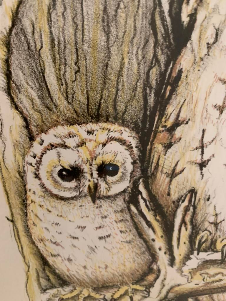 Zeefdruk ‘ Uil met jong ‘ door Erica Synja, Antiek en Kunst, Ophalen of Verzenden
